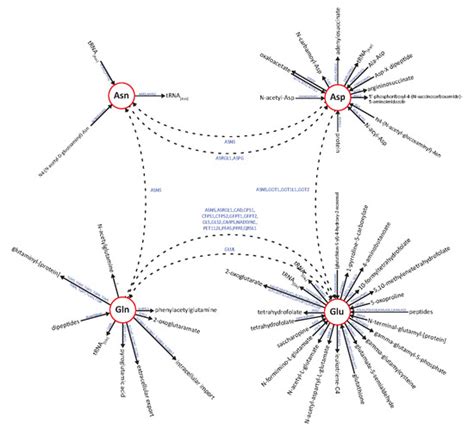 Assessment of l-Asparaginase Pharmacodynamics in Mouse Models of Cancer
