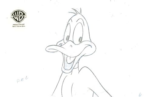 Daffy Duck Drawings Looney Tunes Stock Illustrations – 63 Looney