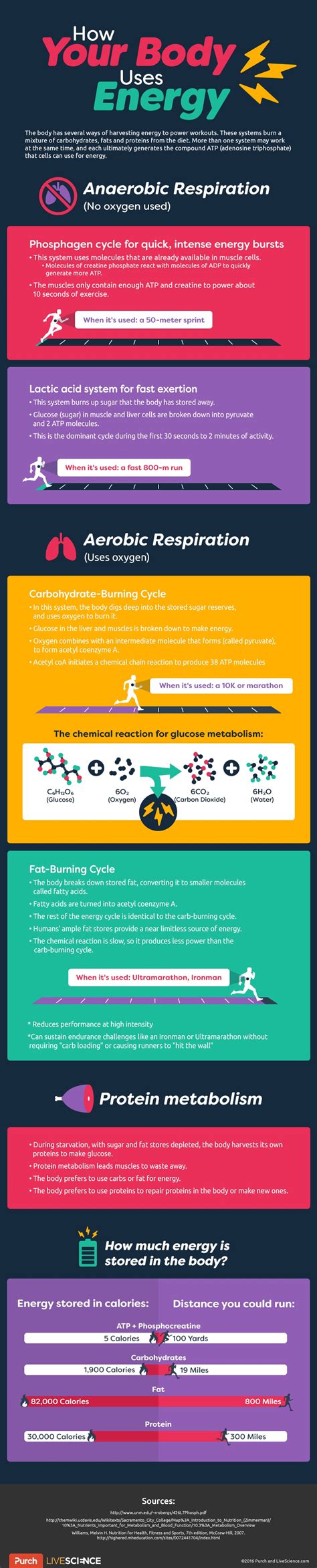 Person Using Energy 的图像结果