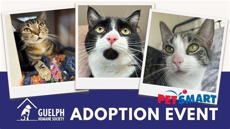 PetSmart National Adoption Week March 18 – 24, 2024, PetSmart (Guelph ...