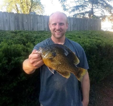 Michigan Bluegill Record