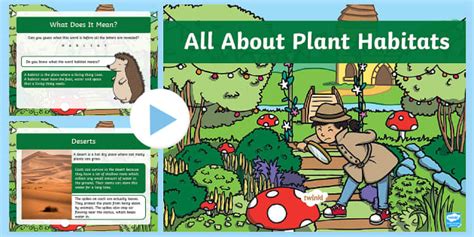 KS1 All About Plant Habitats PowerPoint