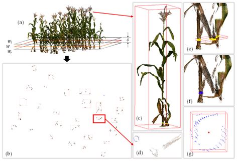 Segmentation and Stratification Methods of Field Maize Terrestrial ...