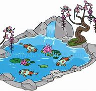 Image result for Cartoon Pond