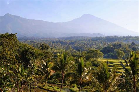 Tetebatu Village and Rice Field Private Tour in Lombok - Klook India
