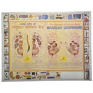 Buy Aarogya Mandir Reflexology Acupressure Chart (Multi Color) Online ...