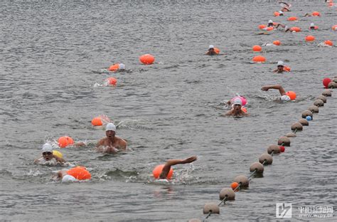 2019温州市“华亿杯”第五届公开水域游泳锦标赛在平举行