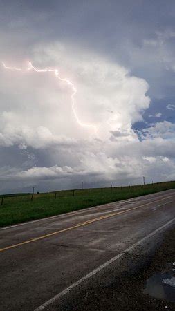 TEMPEST TOURS (Arlington) - 2022 What to Know Before You Go