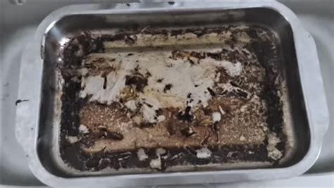 El truc per netejar la safata del forn i deixar-la com si fos nova