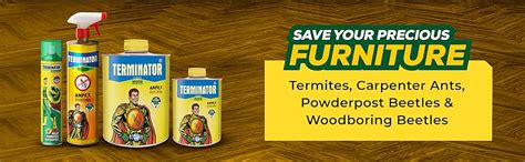 Terminator Eco-Friendly Termite Killer Spray, 320ml | DIY Pest control ...