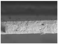 Investigation of the Structure-Forming Potential of Protein Components ...