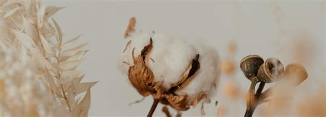 How to Shop for Environmentally Conscious Clothing: A Step-By-Step Gui ...