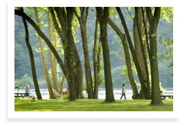 Outdoor Activities in Central, PA | Hiking, Fishing & Biking