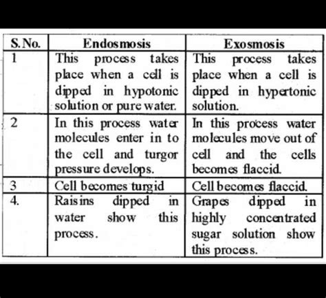 difference between exosmosis and endosmosis - Brainly.in