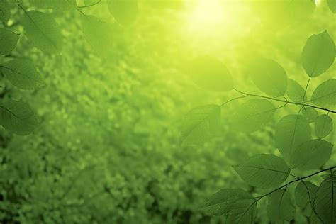 Environment Cover Page 的图像结果