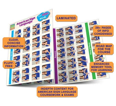 Basic Sign Language 的图像结果