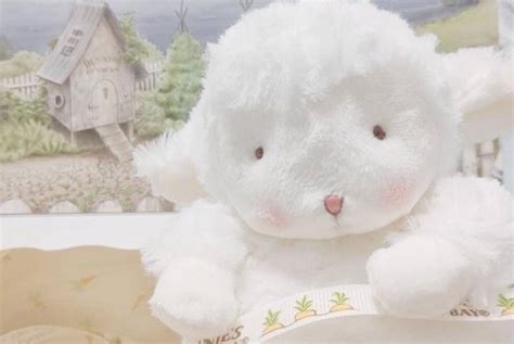 道歉给什么礼物好最新素材