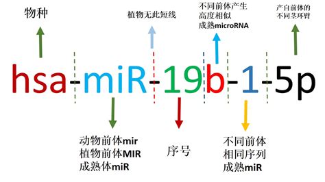 命名实体识别的一点经验 - 知乎