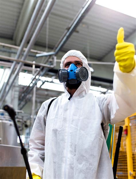 Pest Control Services | Indian Pest Management