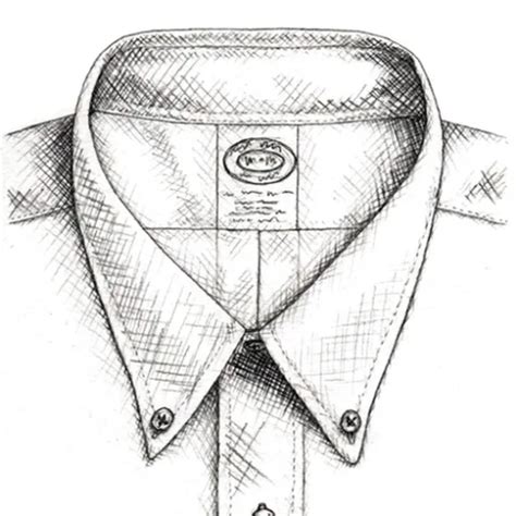 The Art of the Collar: Different Shirt Collar Styles Explained