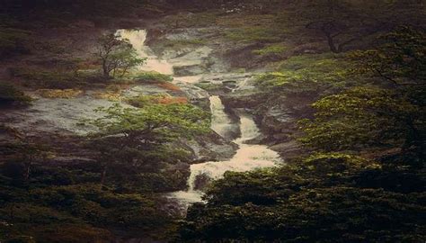 5 Attractions Along Your Coimbatore To Ooty Road Trip