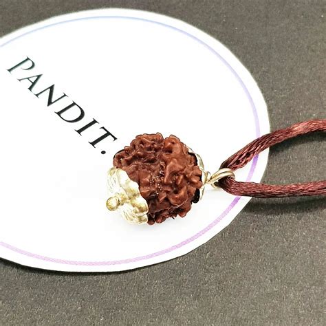 Nirakar Rudraksha Nepal – Mind & Mood Balance - Pandit.com