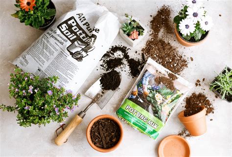 Raised Bed Soil Vs Potting Mix at Wallace Yang blog