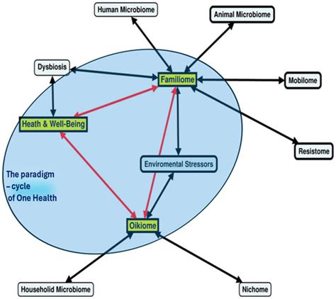 Microbial Interconnections in One Health: A Critical Nexus Between ...