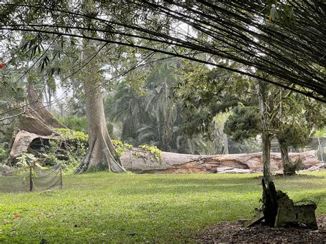 Aburi Gardens Aburi Botanical Gardens