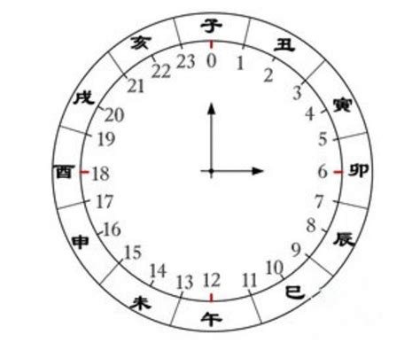 471.小学生如何看钟表、认时间终于有招了，关键是心中有一面会转的钟_孩子