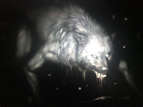 What Is The Dogman? | Creepy Encounters