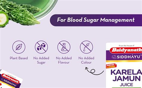 Baidyanath Asli Ayurved Karela Jamun Juice - 1 L | Natural Blood Sugar ...