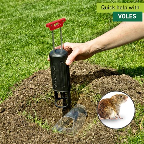 Vole Traps Vole Traps How To Trap Voles In Your Yard
