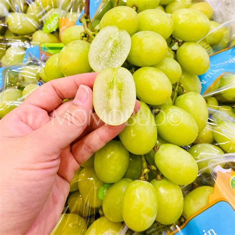 Jumbo Peru Autumn Crisp® Green Seedless Grapes — MomoBud