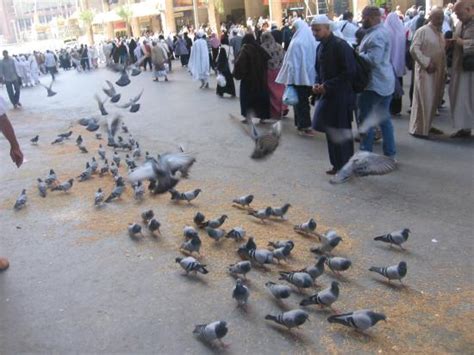 Al Olayan Al Khaleel (Makkah/Mecca) - Hotel Reviews & Photos - TripAdvisor