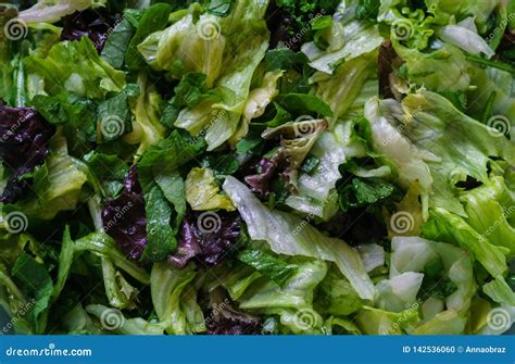 Fresh Salad from Different Types of Greens , Seasoned with Olive Oil ...