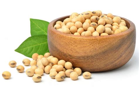 Organic Soybean Whole – GreenDNA® India