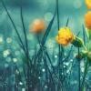 prove that the accounting equation is satisfied in all the following ...