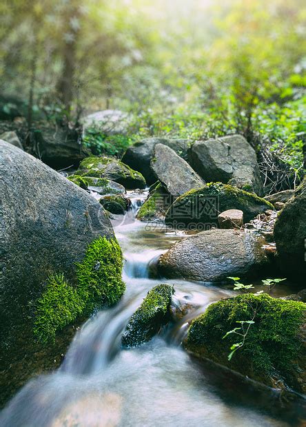 小溪溪流水流流水小河自然景观实拍视频素材 | CG资源网
