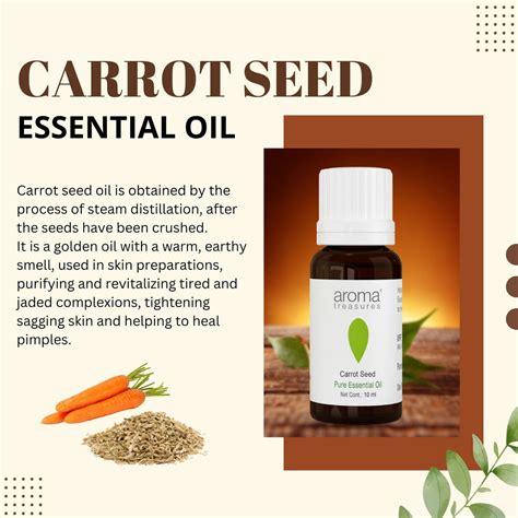 Buy Pure Carrot Seed Essential Oil – AromaTreasures.com