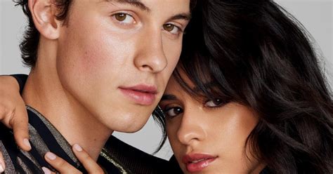 Shawn Mendes and Camila Cabello at the MTV Video Music Awards 2019: Why ...