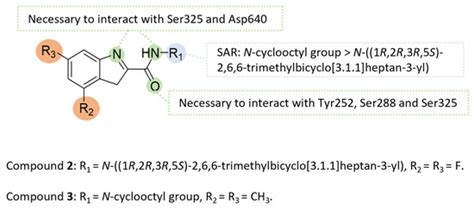 M. avium Complex Pulmonary Infections: Therapeutic Obstacles and ...