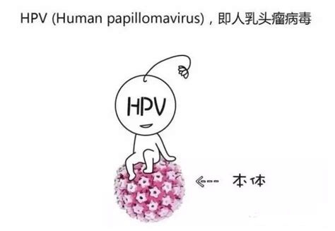 怎么知道自己是不是已经感染了HPV病毒 - 知乎