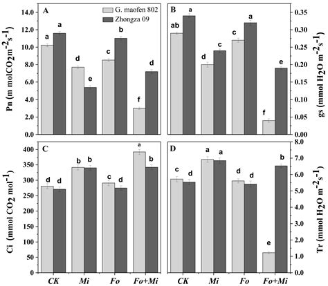 Variations in Growth, Physiology, and Antioxidative Defense Responses ...