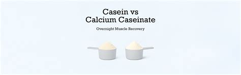 Casein vs Calcium Caseinate: What is the Overnight Muscle Recovery ...