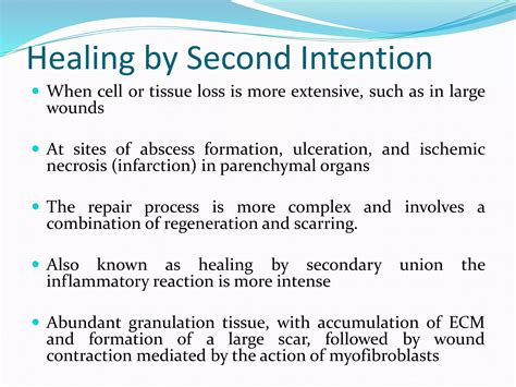 Wound healing | PPTX