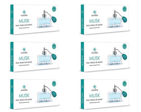 Musk DHOOP Sticks 50,GM Box Pack Combo Pack of 6 Box (50 gm x 6 =300 GM ...