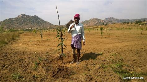 Celebrating the Forests of India with People who create Forests Every ...