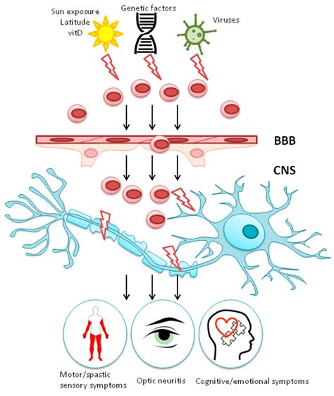 The Interaction between Viral and Environmental Risk Factors in the Pathogenesis of Multiple ...