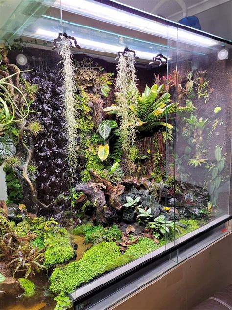 Pin by Amanda Blackwell on Terrariums, Virvariums, Aquariums | Fish ...